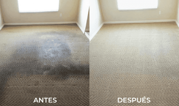 Limpieza y Desinfección de Alfombras